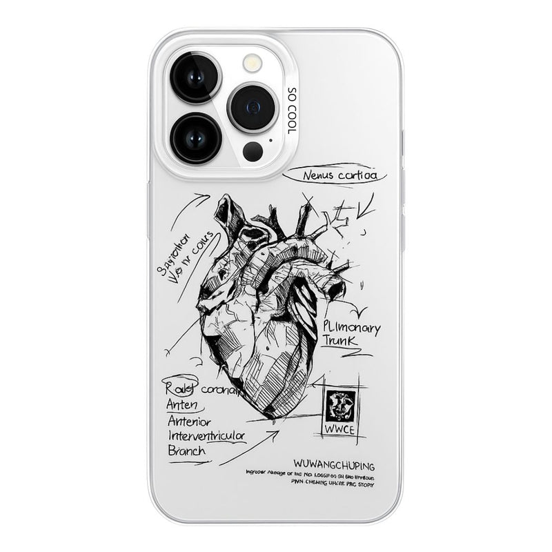 Cardiovascular Heart
